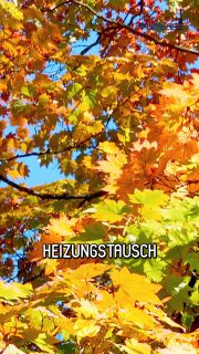 Der Winter steht vor der Tür. Zeit, Ihre Heizung fit zu machen! Setzen Sie auf zukunftsfähige Technologien und genießen Sie warme Räume bei geringeren Energiekosten. Wir unterstützen Sie bei jedem Schritt, von der Beratung bis zur Installation.

#Meisterinstallateur #WirLiebenHandwerk #Heizung #Modernisierung #EnergieSparen