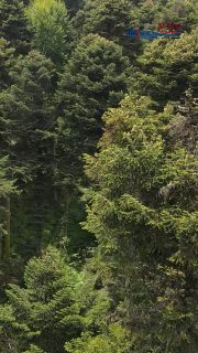 Wärme aus nachwachsender Energie sorgt für ein gutes Gefühl im eigenen Zuhause. Holzheizungen arbeiten effizient und lassen sich komfortabel steuern. Wir zeigen Ihnen gerne, welche Lösung am besten zu Ihnen passt!

#Holzheizung #NachhaltigHeizen #ErneuerbareEnergie 🌱