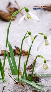 Clever gießen im Frühling beginnt mit der richtigen Lösung für Ihren Garten. Nutzen Sie Regenwasser effizient und versorgen Sie Pflanzen sowie Haushalt nachhaltig zugleich.
Jetzt informieren und optimal in die Gartensaison starten.

#Regenwasser #Wassersparen #GartenTipps